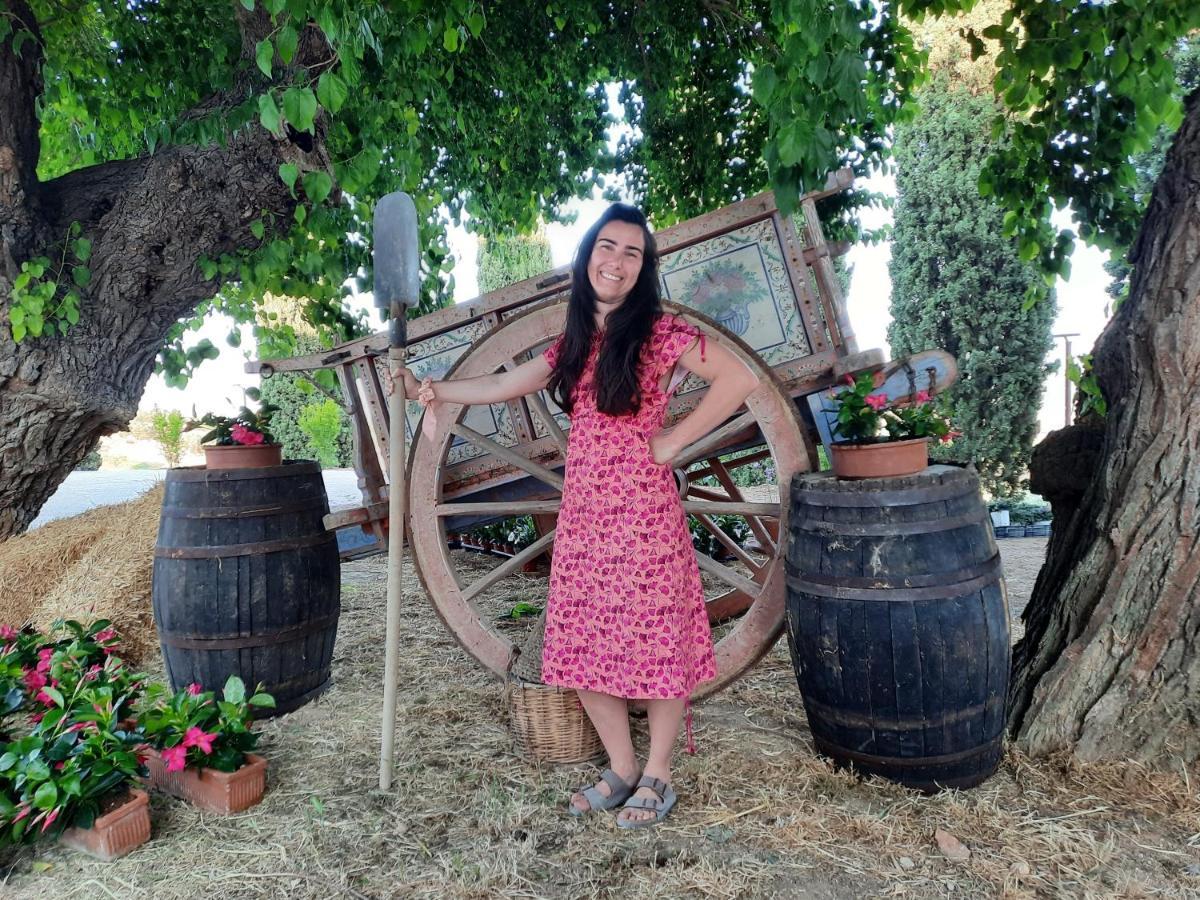 Tenuta Coppa Zuccari チッタ・サンタンジェロ エクステリア 写真