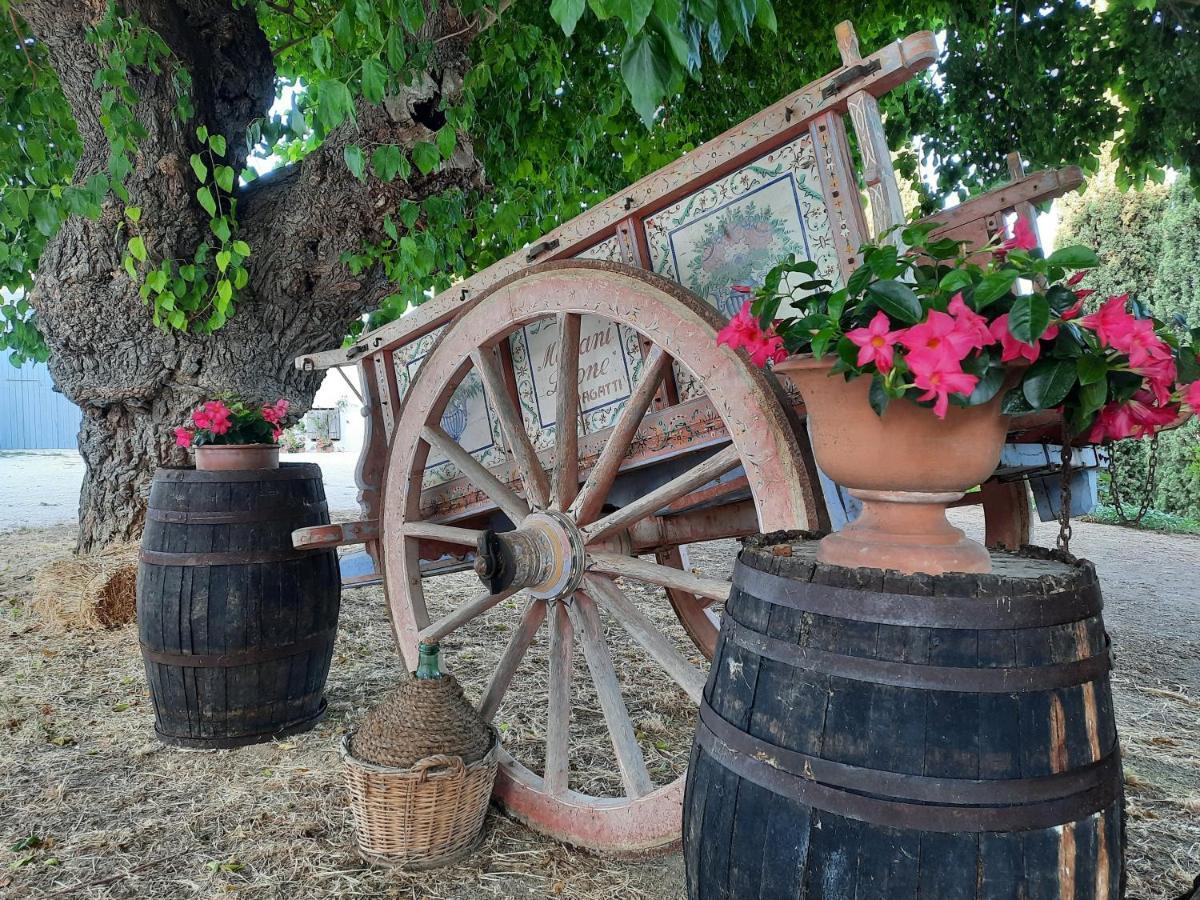 Tenuta Coppa Zuccari チッタ・サンタンジェロ エクステリア 写真