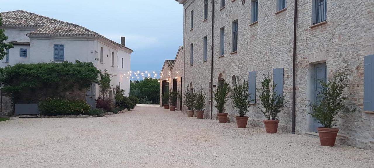 Tenuta Coppa Zuccari チッタ・サンタンジェロ エクステリア 写真