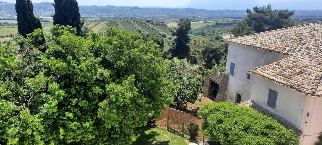 Tenuta Coppa Zuccari チッタ・サンタンジェロ エクステリア 写真