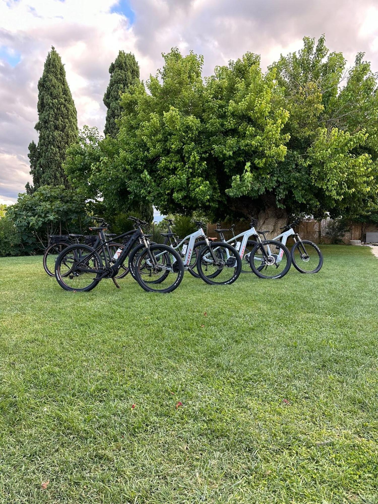Tenuta Coppa Zuccari チッタ・サンタンジェロ エクステリア 写真