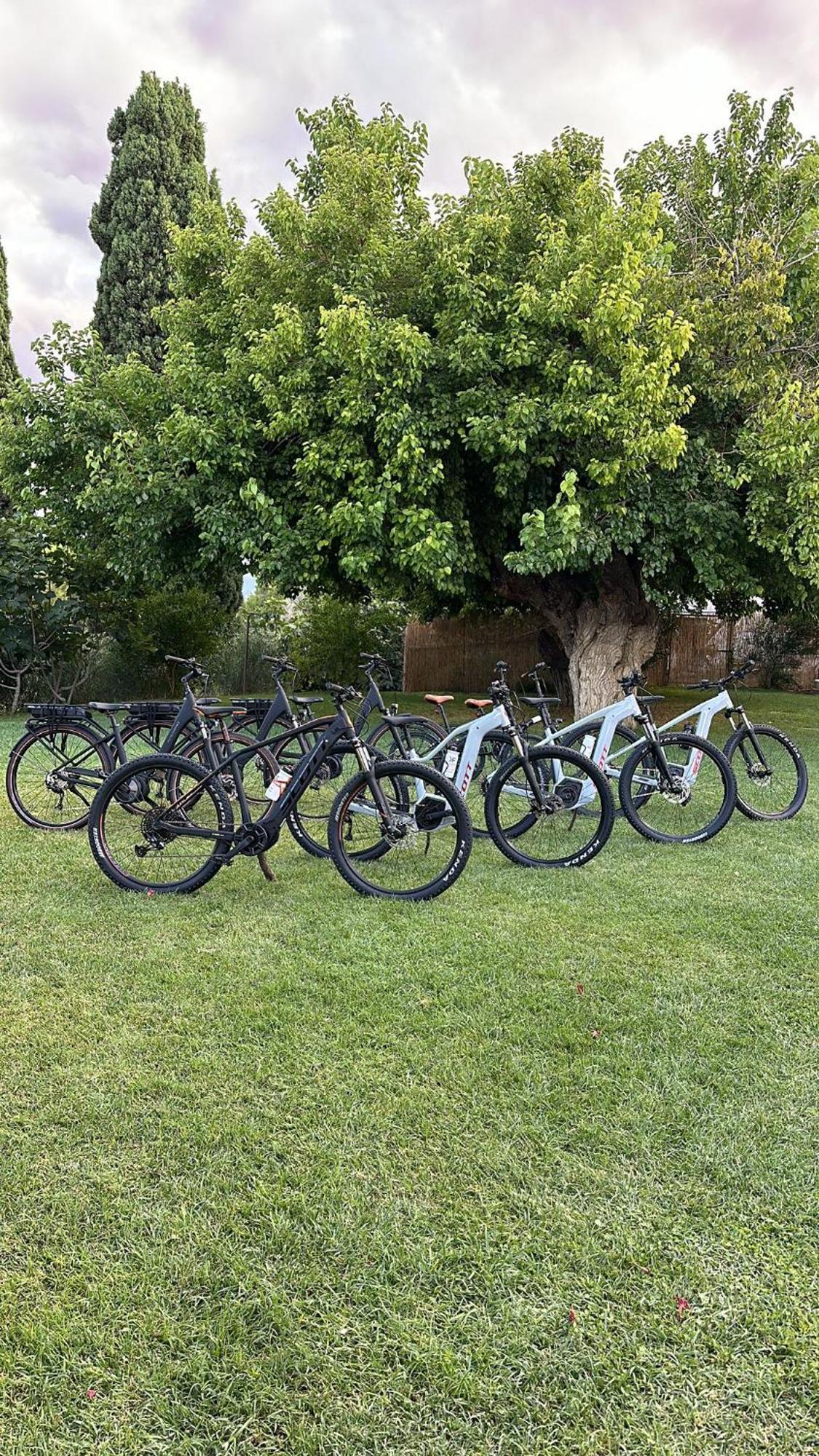 Tenuta Coppa Zuccari チッタ・サンタンジェロ エクステリア 写真